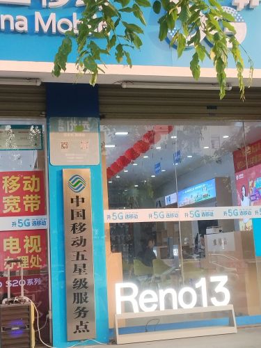 中国移动(一周连锁南新营业厅)