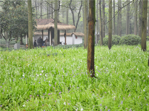 春季-spring