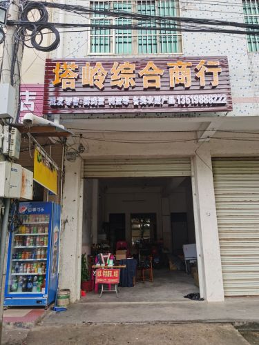 定安定城塔岭综合商行