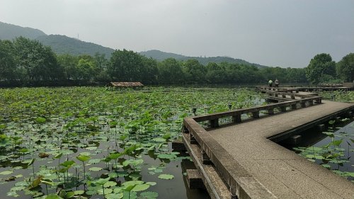 湘湖旅游度假区-荷花庄