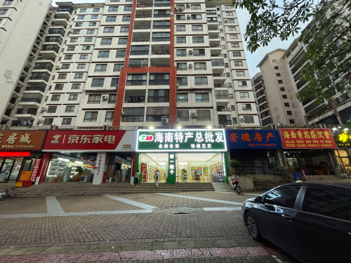海南特产总批发店(南国店)