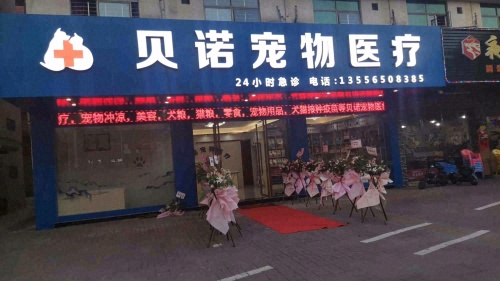 贝诺宠物医疗