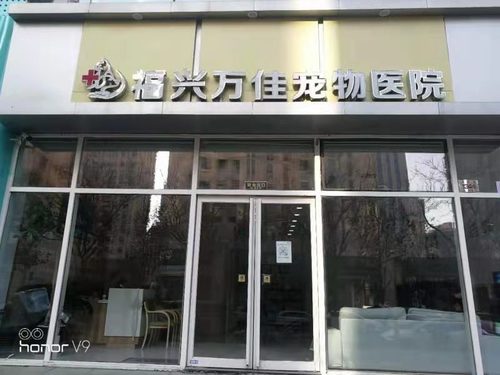 瑞派福兴万佳宠物医院(鼓楼店)