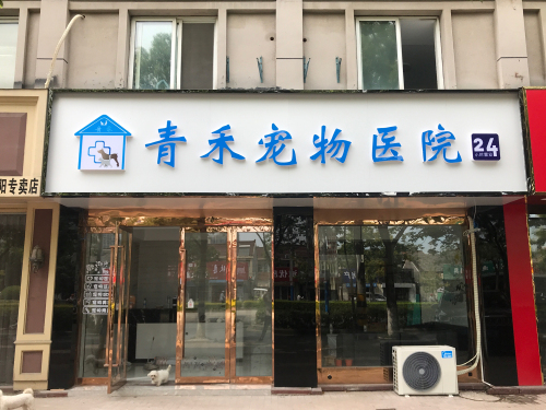 青禾宠物医院