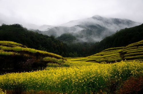 上饶市德兴市旅行攻略