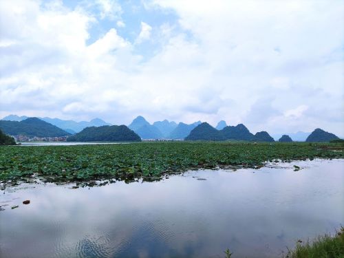 普者黑风景区-西荒湿地