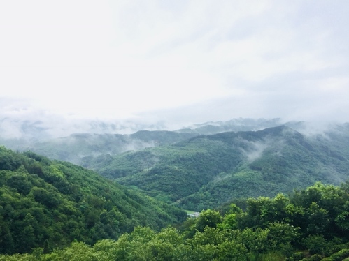 牛蹄岭战斗纪念碑