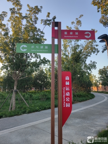 森林运动公园