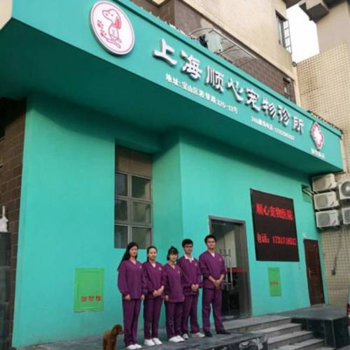 上海顺心宠物诊所(淞肇路店)
