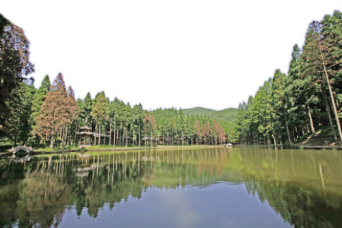 石垟林场