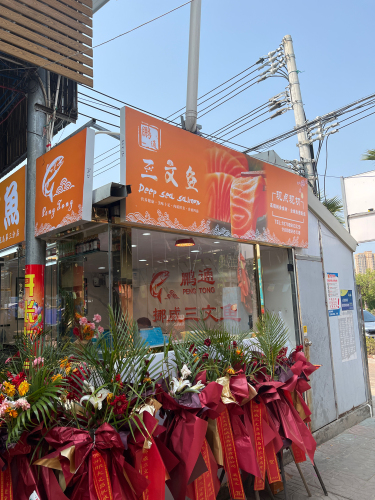 鹏通挪威三文鱼(海花岛店)