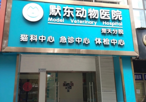 默东动物医院楚天分院