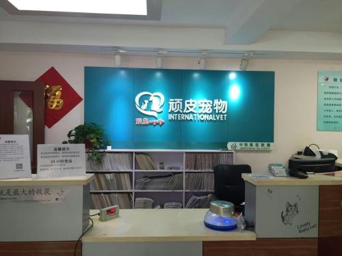 顽皮康康宠物医院(南苑新村店)