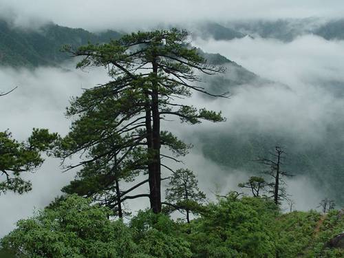 古田山