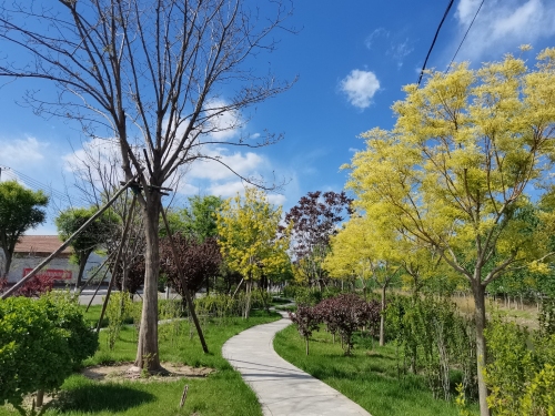 柳河公园