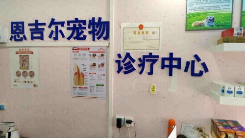 恩吉尔宠物诊所