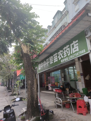 中平黎苗农药店