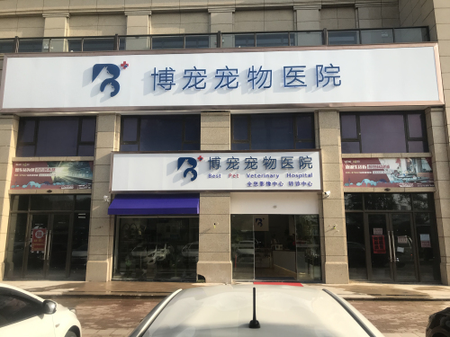 九江博宠宠物医院