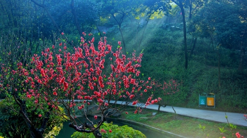 桃花涧[广州白云山景点]