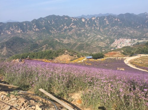 南天丽景景区(暂停开放)