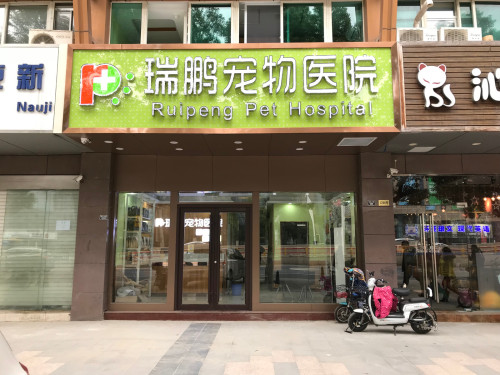 瑞鹏宠物医院(双龙分院)