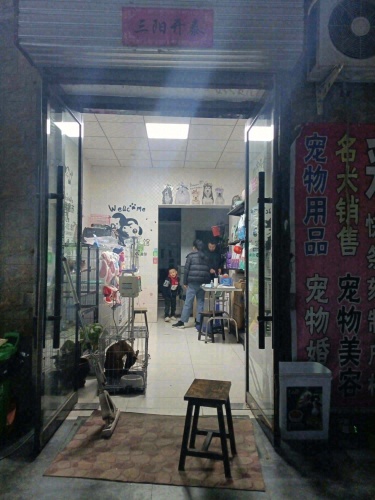 宠一生宠物门诊