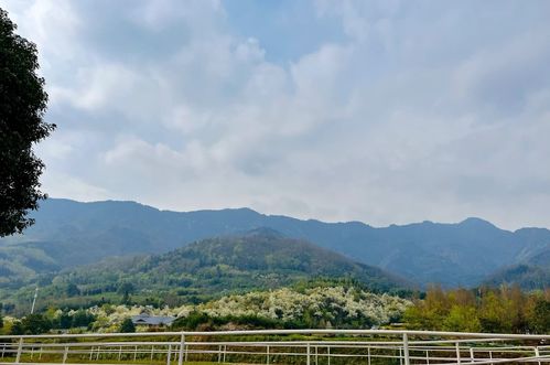 九龙山乡村旅游景区