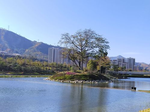 水中央湿地公园