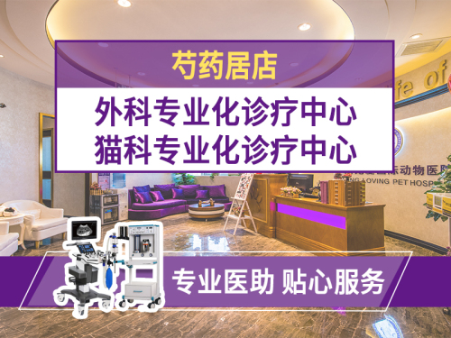 宠爱国际动物医院(芍药居店)