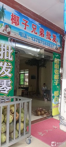 椰子兄弟批发