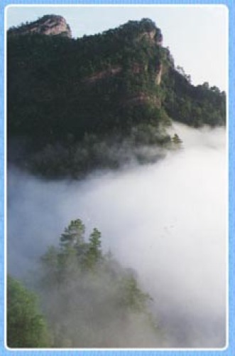武夷山自然保护区