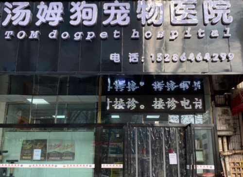 汤姆狗宠物医院(明湖店)