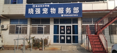 莱州市沙河镇晓强宠物服务部