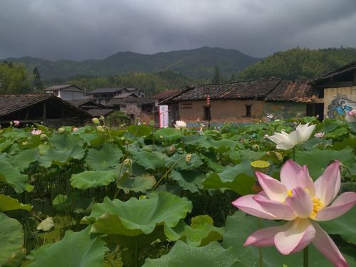 上坪古村旅游景区