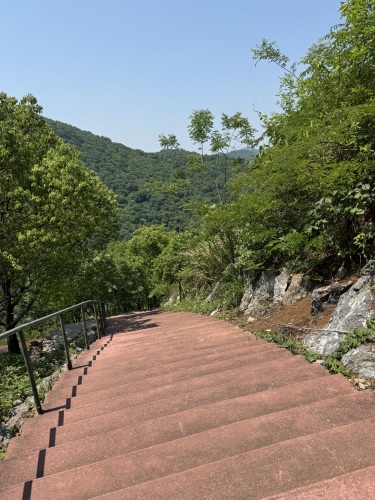 丫山花海石林风景区-犀牛望月