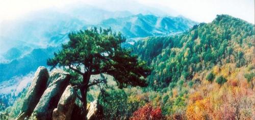 城子山-山城