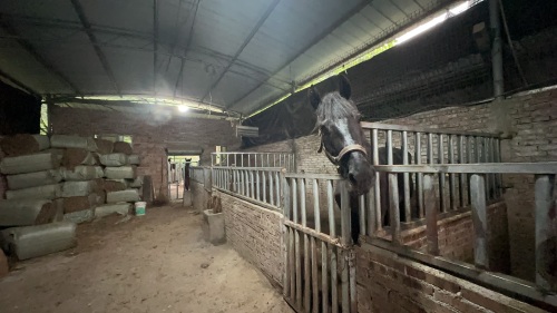 Gallery 3