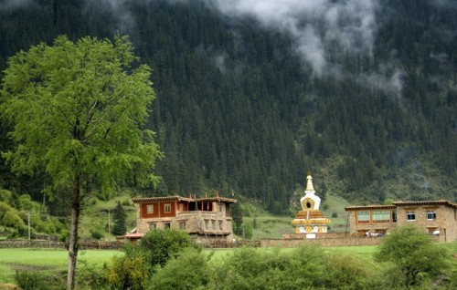 玛柯河原始森林生态旅游景区