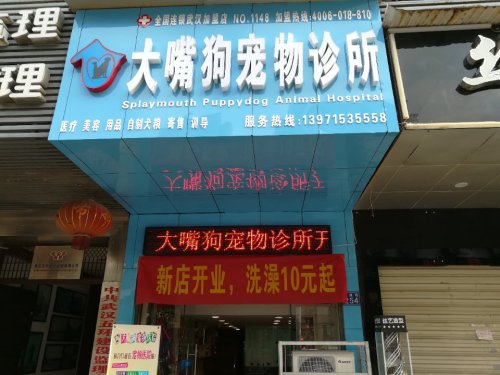 大嘴狗宠物诊所(波波店)