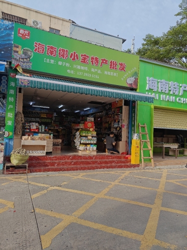 海南椰小宝特产批发店