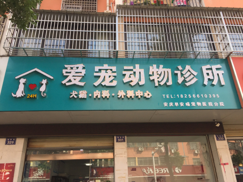 爱宠动物诊所