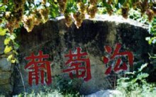 昌黎葡萄沟风景区