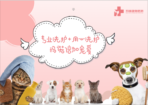 玛诺动物医院(红光店)