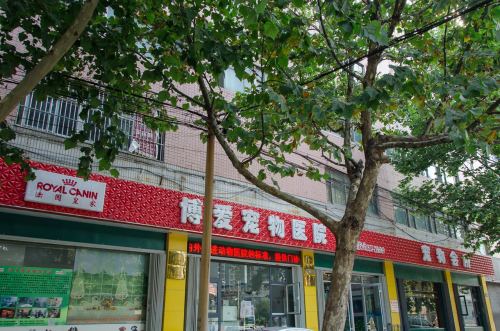 爱诺动物医院博爱分院