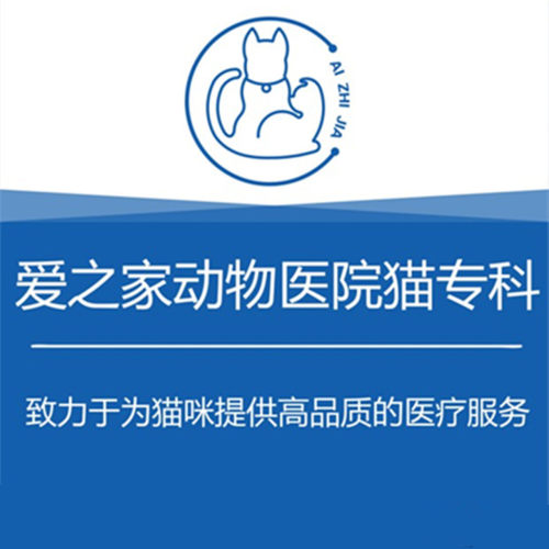 爱之家动物医院洪山总院