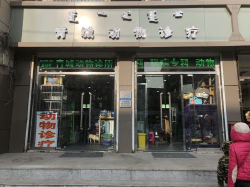 青城动物诊疗