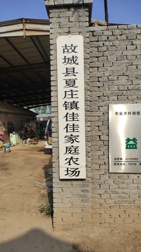 故城县夏庄镇佳佳家庭农场的第1张图片的图片资料