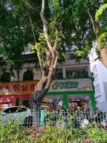 龙鑫超市
