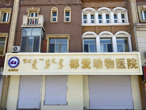 新城区北垣东街北垣吧街都爱动物医院