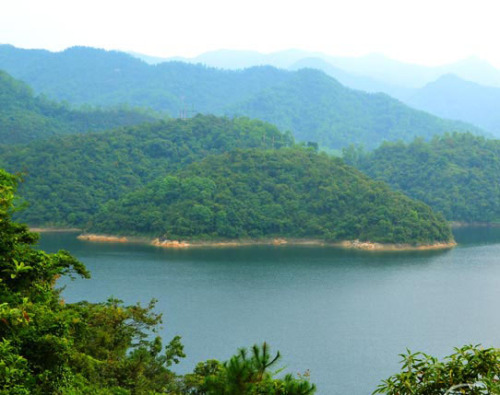 广东河排森林公园